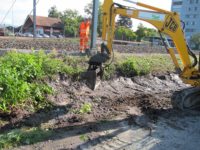 Bagger beim Ausgraben von Japanknöterich entlang Bahndamm