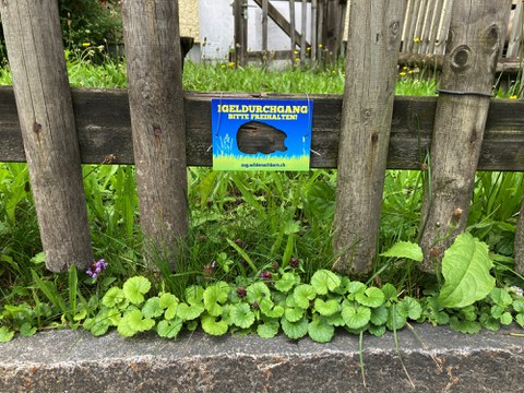 Infoanlass Freiwillige