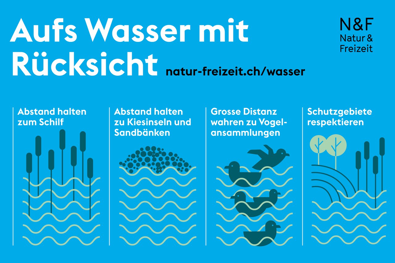 Das Bild zeigt die Verhaltensweisen für naturverträglichen Wassersport
