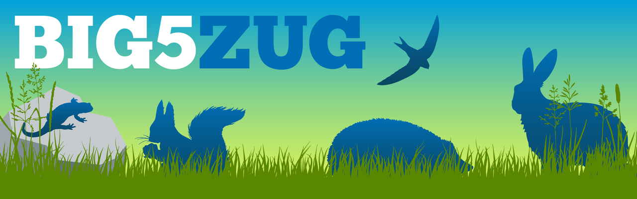 Banner Big5 Zug