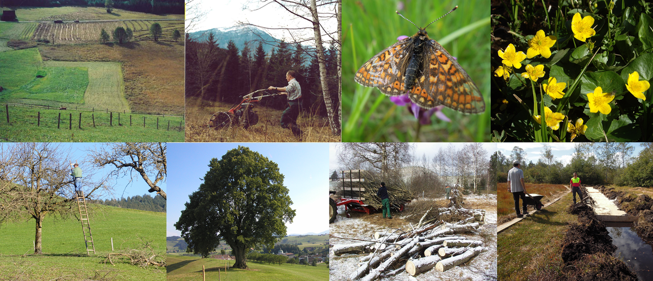 Titelbild kant. Abgeltungsrichtlinien