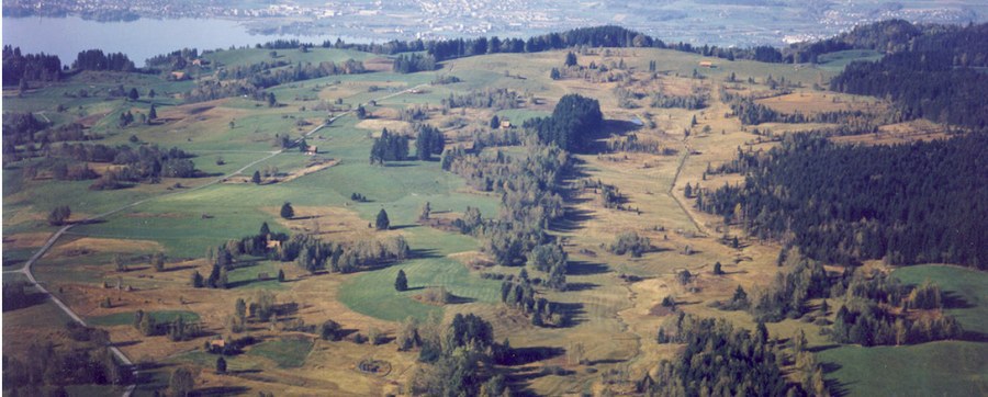 Moorlandschaft Zugerberg