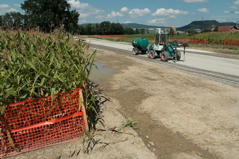 Bau einer neuen Strasse