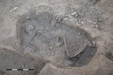 Foto 1: Baar Sternmatt