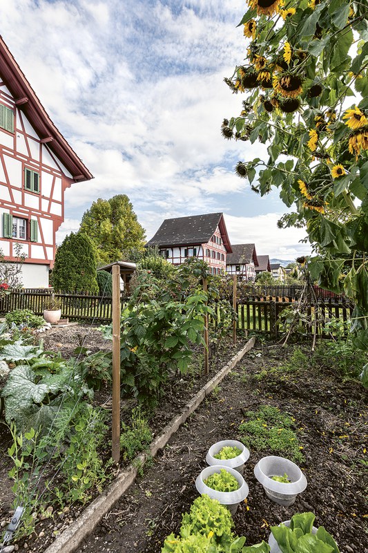 Seitenansicht mit Garten mit Gemüsebeet