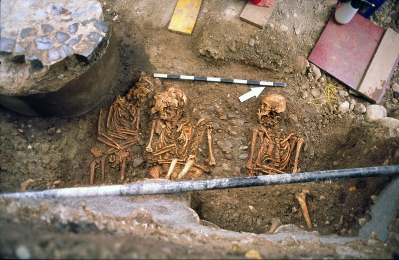 Drei freigelegte Oberkörper von Skeletten während der Grabung auf dem Friedhof St. Oswald in Zug