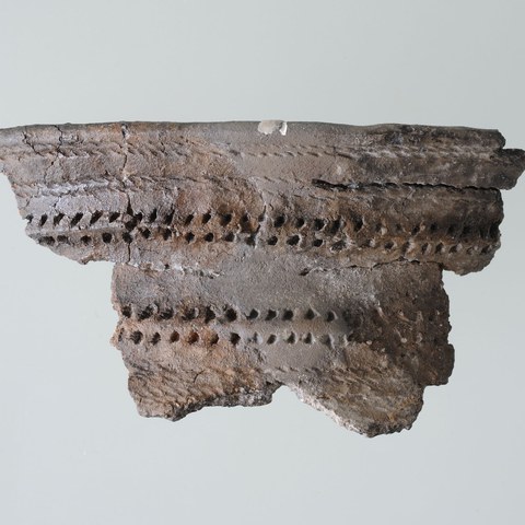 Zug Oterswil, Insel Eielen