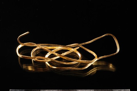 Cham Alpenblick, Foto Golddraht