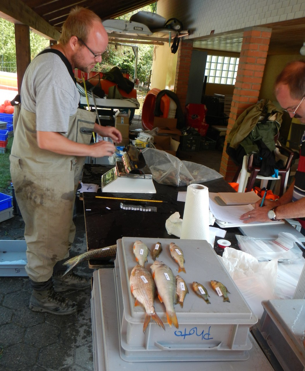Foto 1: Projektleiter Pascal Vonlanthen (l.) und Erwin Schäffer, EAWAG, an der Messstelle. Fische werden vermessen, gewogen und fotografiert; von einzelnen werden Gewebeproben genommen