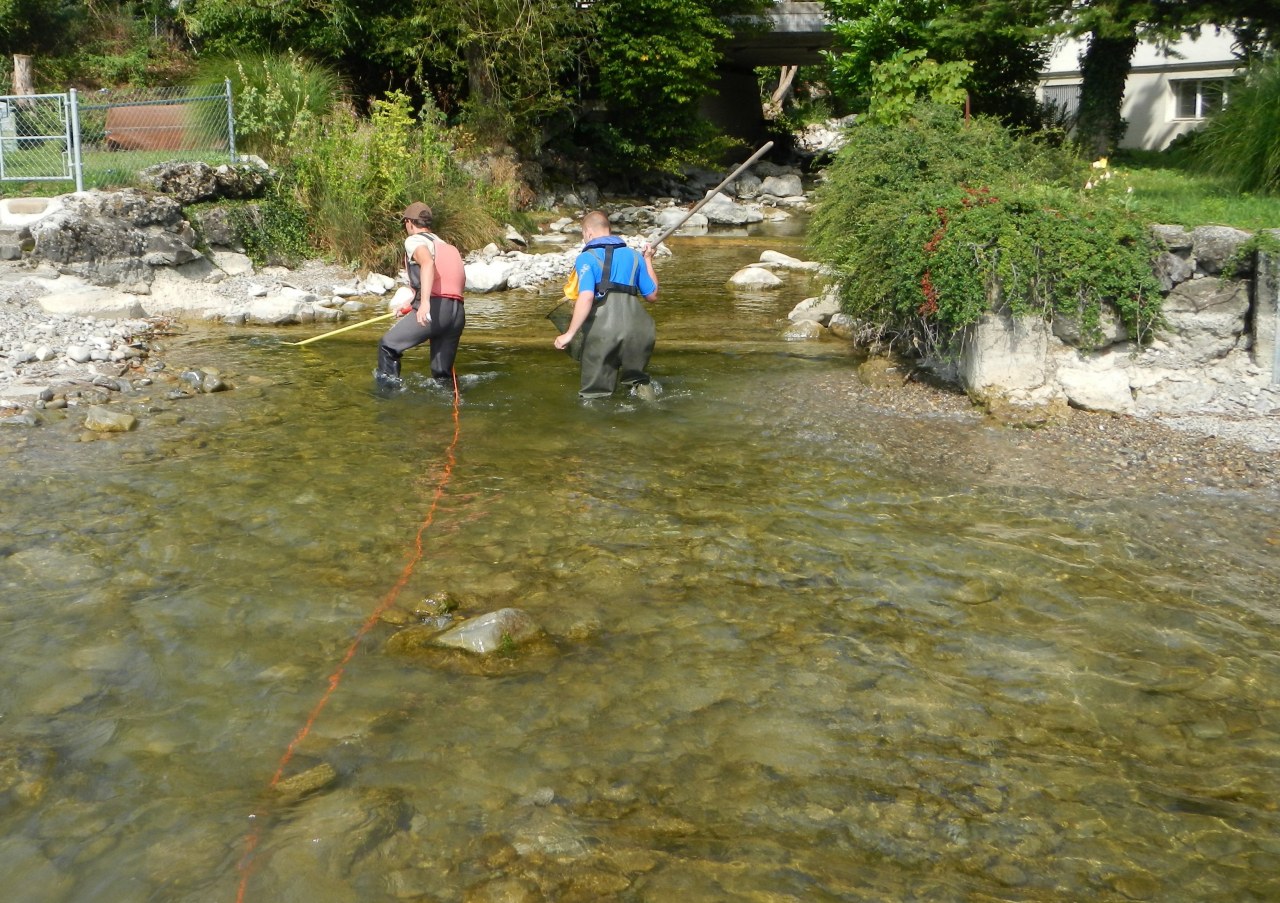 Foto 2: Im Uferbereich wird das Boot schon mal verlassen. Einsatz des Elektrofanggeräts im Uferbereich