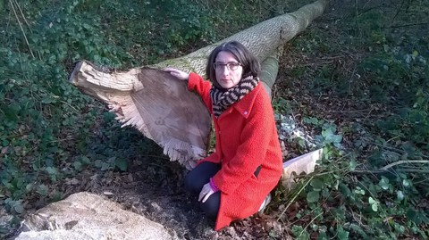 Befallener Baum mit RR Weichelt-Picard