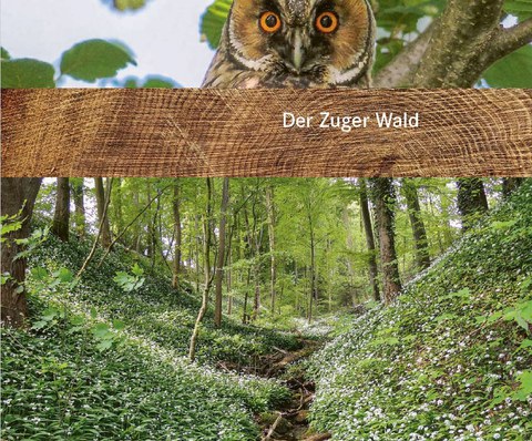 MEDIENMITTEILUNG  Leistungsfähiger Zuger Wald – neue Broschüre klärt auf