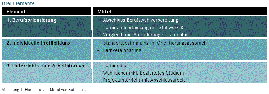 «Sek I plus» – Fit für die Zukunft