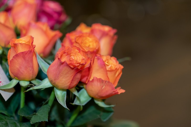 Abschluss- und Fachmaturitätsfeier