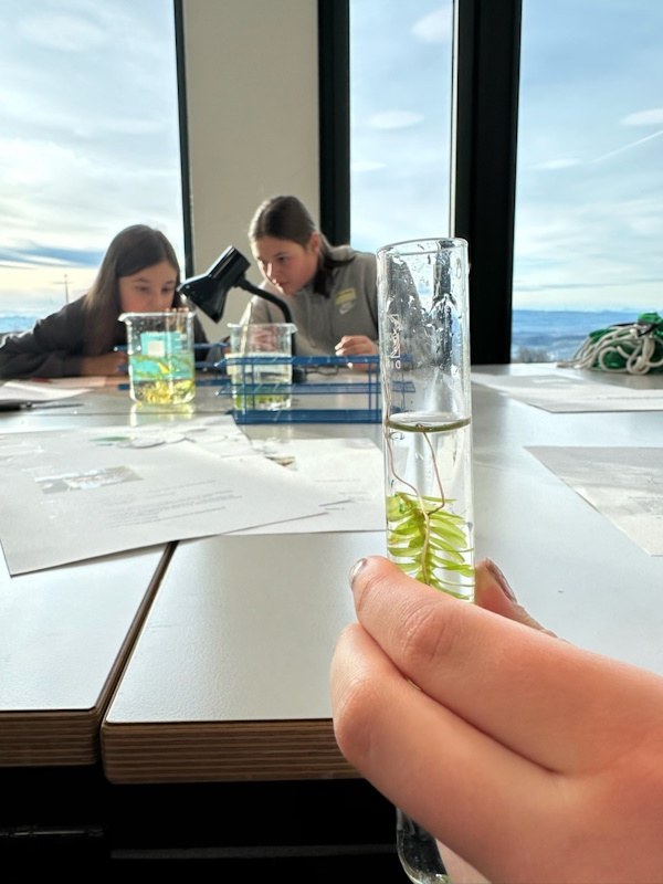 Reagenzglas im Fokus im Hintergrund zwei Schülerinnen