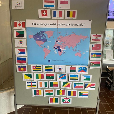 1 Plakat von Leo Goodwin (Steinhausen)