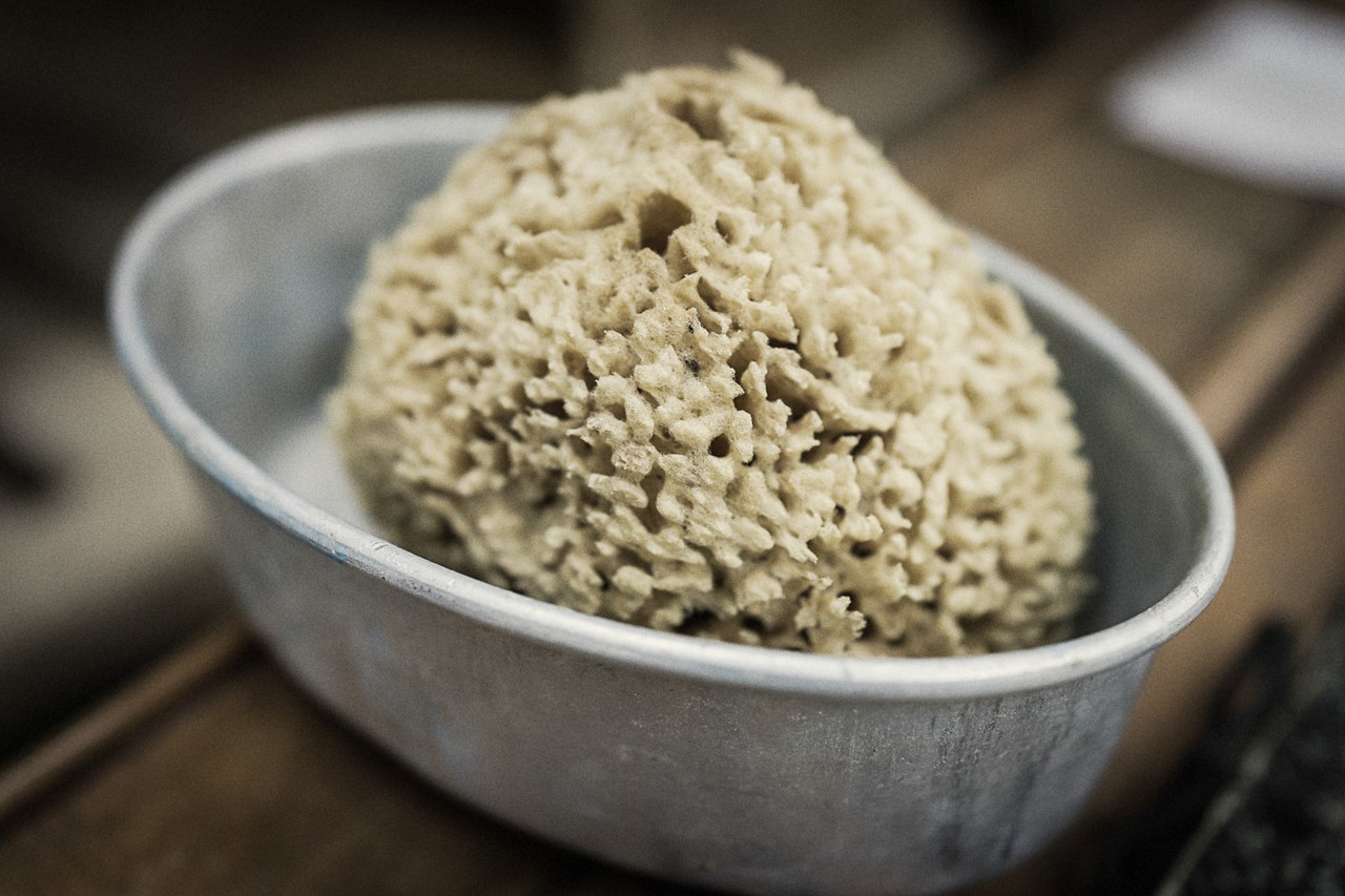 Schwamm by Michel Gilgen