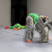 10 Jahre YOUNG DANCE Festival Zug!