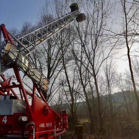 Katzenrettung mit Hüno4.JPG