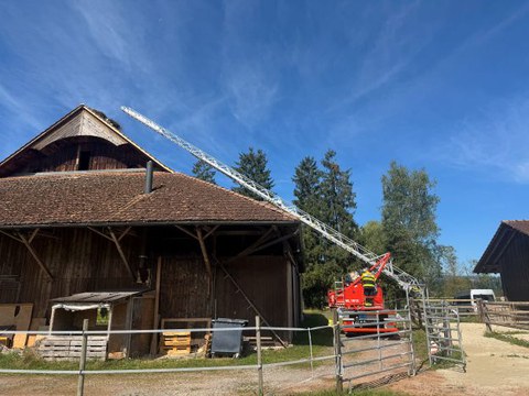 #17 Bergung zweier Störche