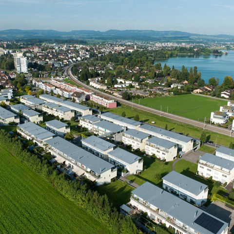 Hünenberg-See, Chämleten