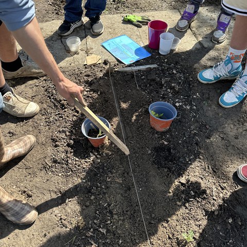 Gemüseackerdemie 2.jpg