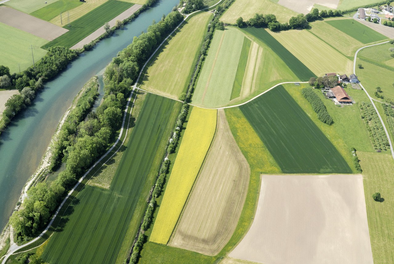 Bild Natur, Reuss