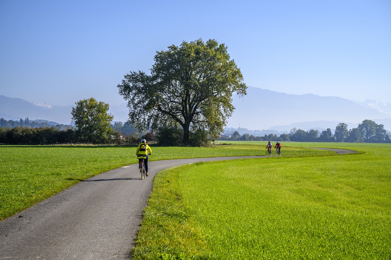 Copyright: www.andreasbusslinger.ch