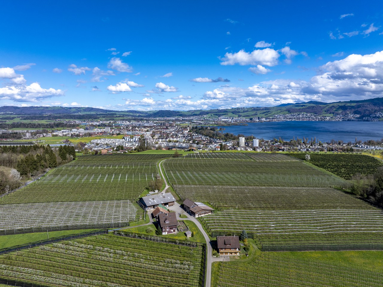 Copyright: www.andreasbusslinger.ch