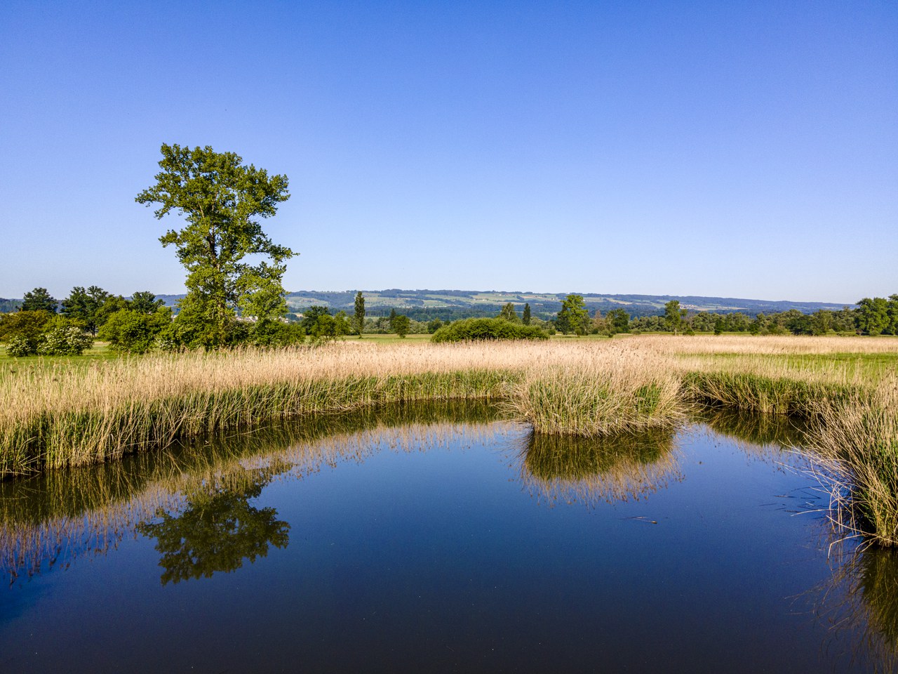 Copyright www.andreasbusslinger.ch