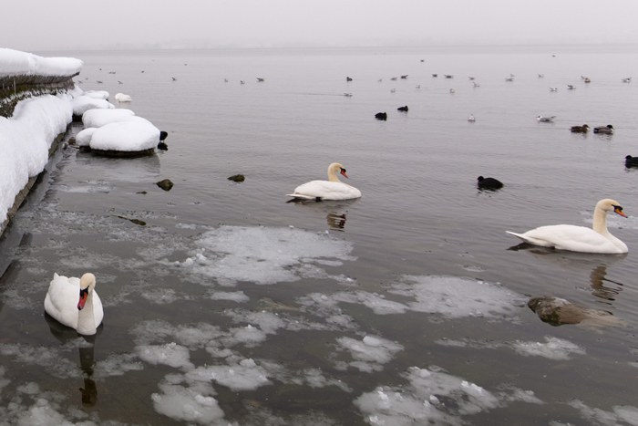 Photo: www.andreasbusslinger.ch