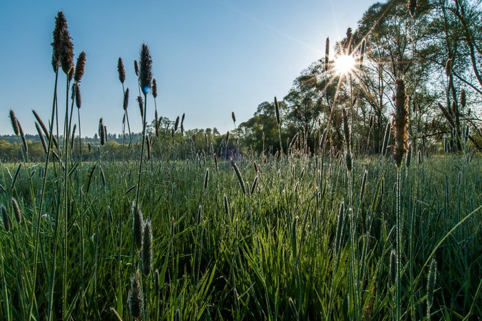 Naturschutzgebiet Reussspitz, Fotograf andeasbusslinger.ch