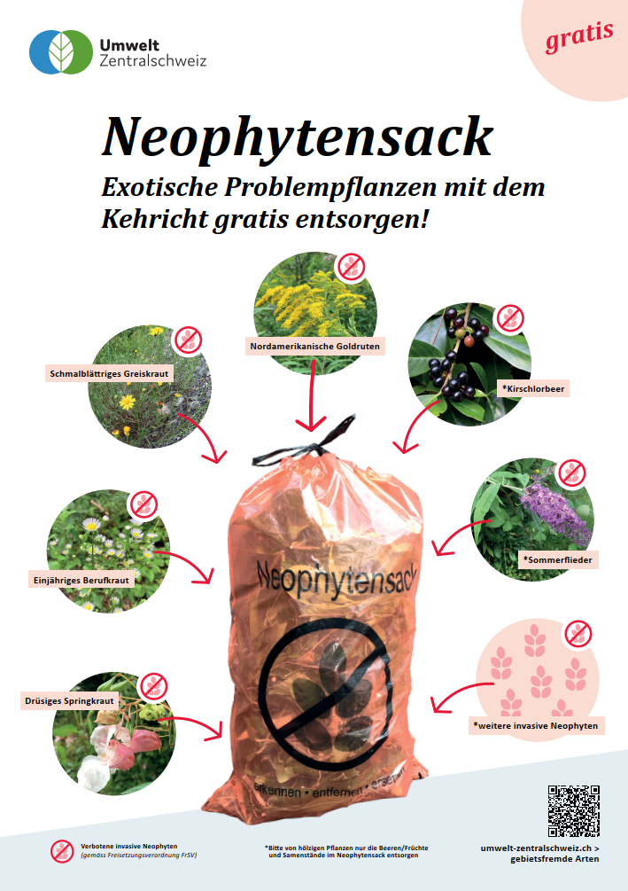 Neophytensack