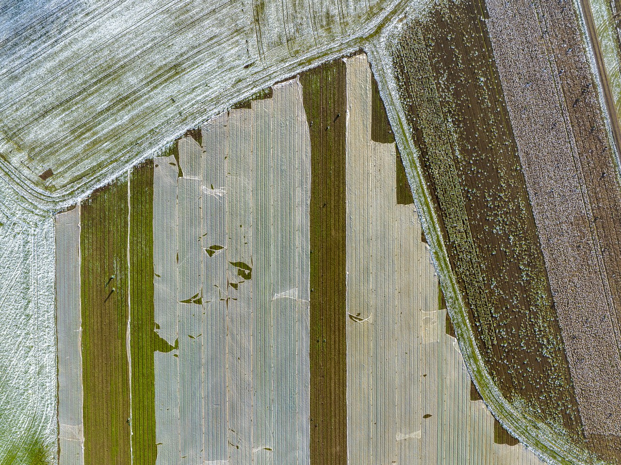 Social Services & Health Department