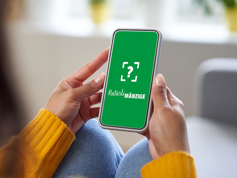 ______________________