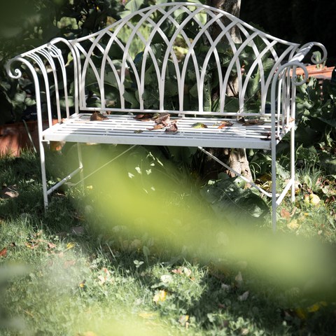 Botschaft November 2024