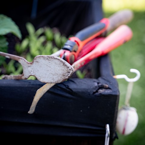 Botschaft November 2024