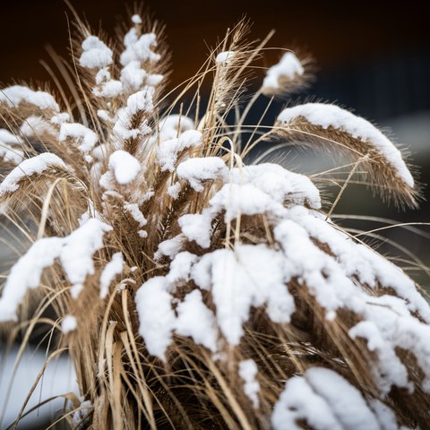 Botschaft November 2024