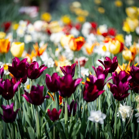 Botschaft November 2024