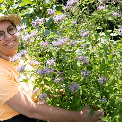 Botschaft November 2024