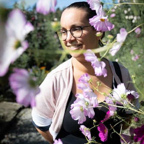 Botschaft November 2024