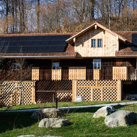 Binzmühle