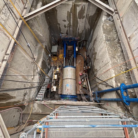 Micortunneling_1012.jpg.jpg