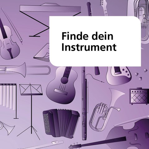 Musikinstrumente live erleben