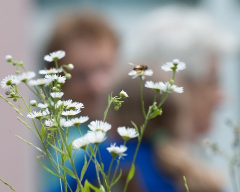 Spezialisierte Angebote der Langzeitpflege