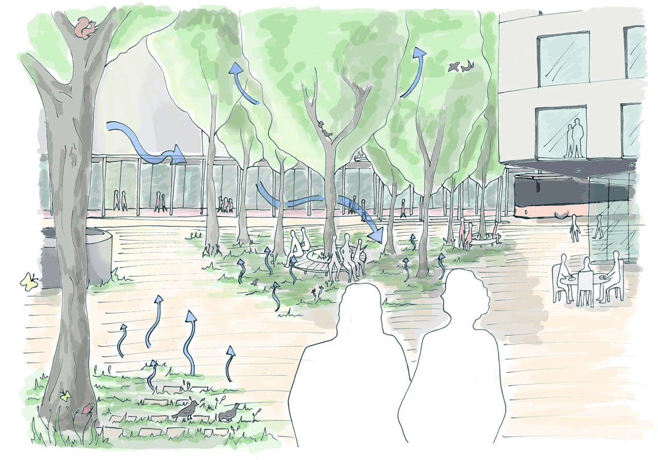 grafische Ansicht Dorfplatz