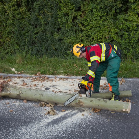 2025-09-17_Übung Bagatellgruppe_mca_058.jpg