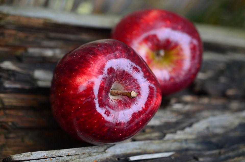 Gesunde Ernährung als wichtiger Bestandteil für das Wohlbefinden