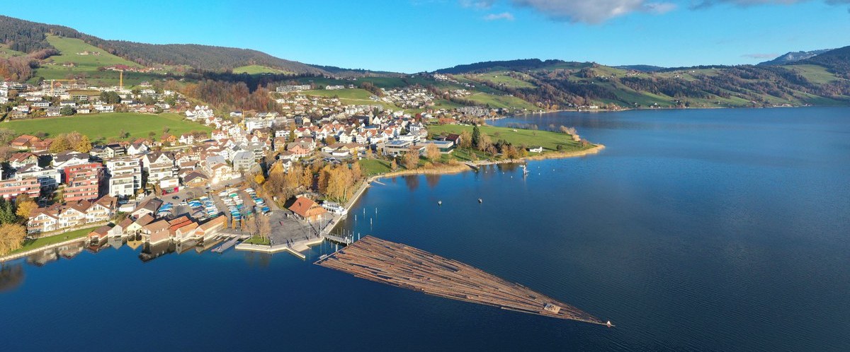 Geflösstes Holz auf dem Ägerisee, Titelbild der Broschüre Zug in Zahlen 2025