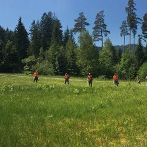 Ei Vermisstensuche (5)